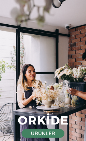orkideler